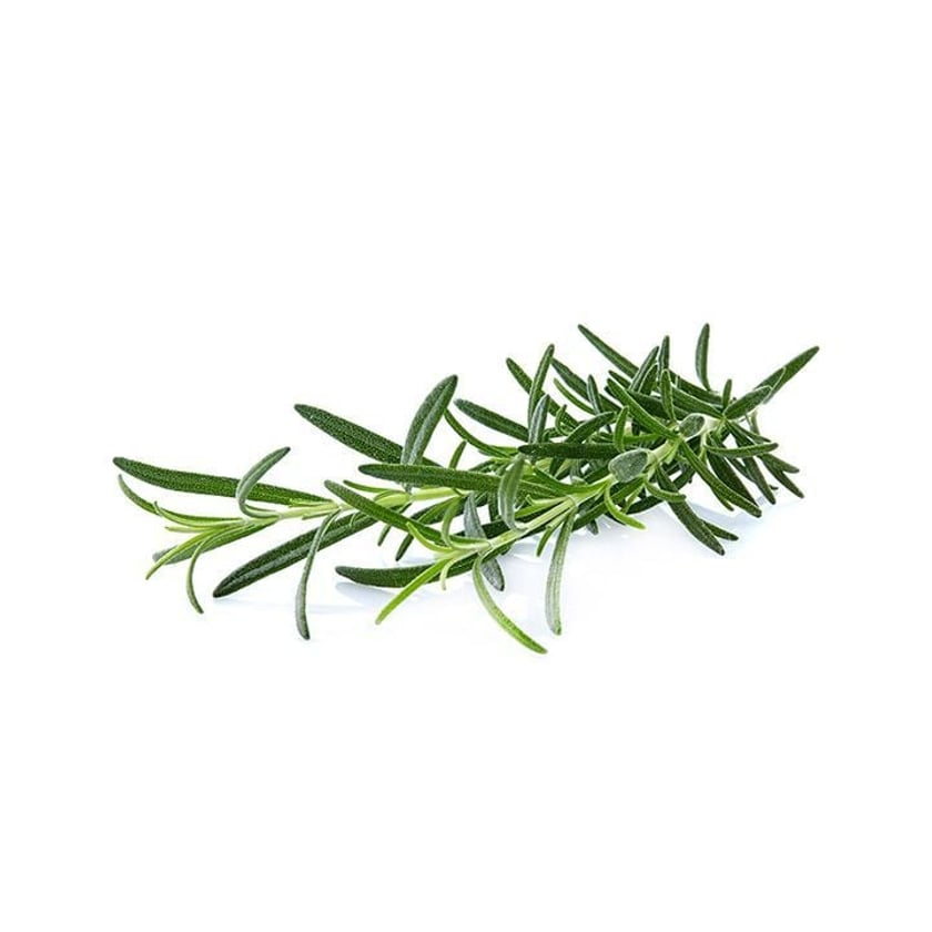 Δενδρολίβανο Συσκευασμένο Εγχώριο 50g