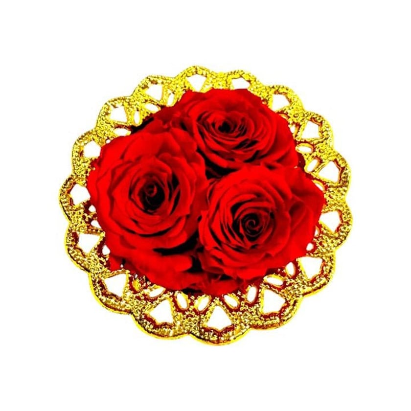 Amma Roses Royal Candy Red