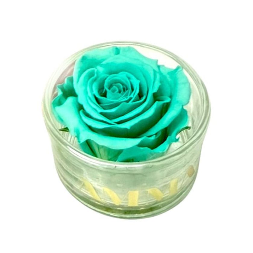 Amma Roses Crystal Garden Candy Tiffanys