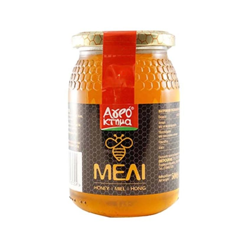 Αγρόκτημα Μέλι Ανθέων 500g