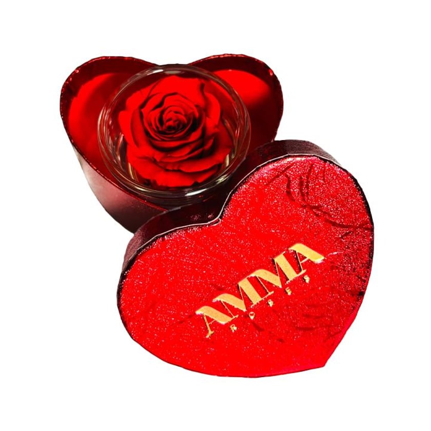 Amma Roses CG Baby Heart Red