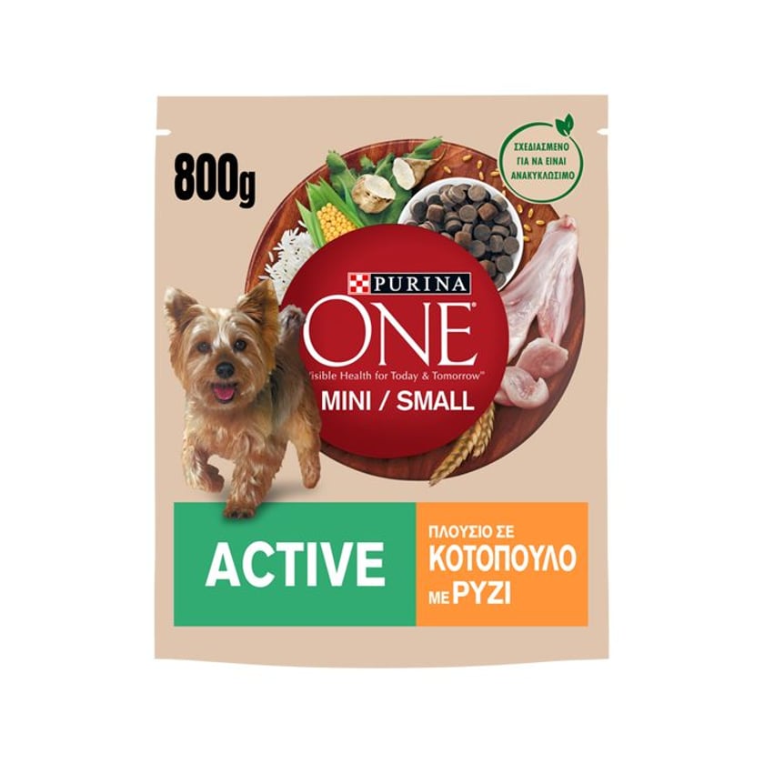 Purina One Mini Active Ξηρά Τροφή για Σκύλους Κοτόπουλο & Ρύζι  800g