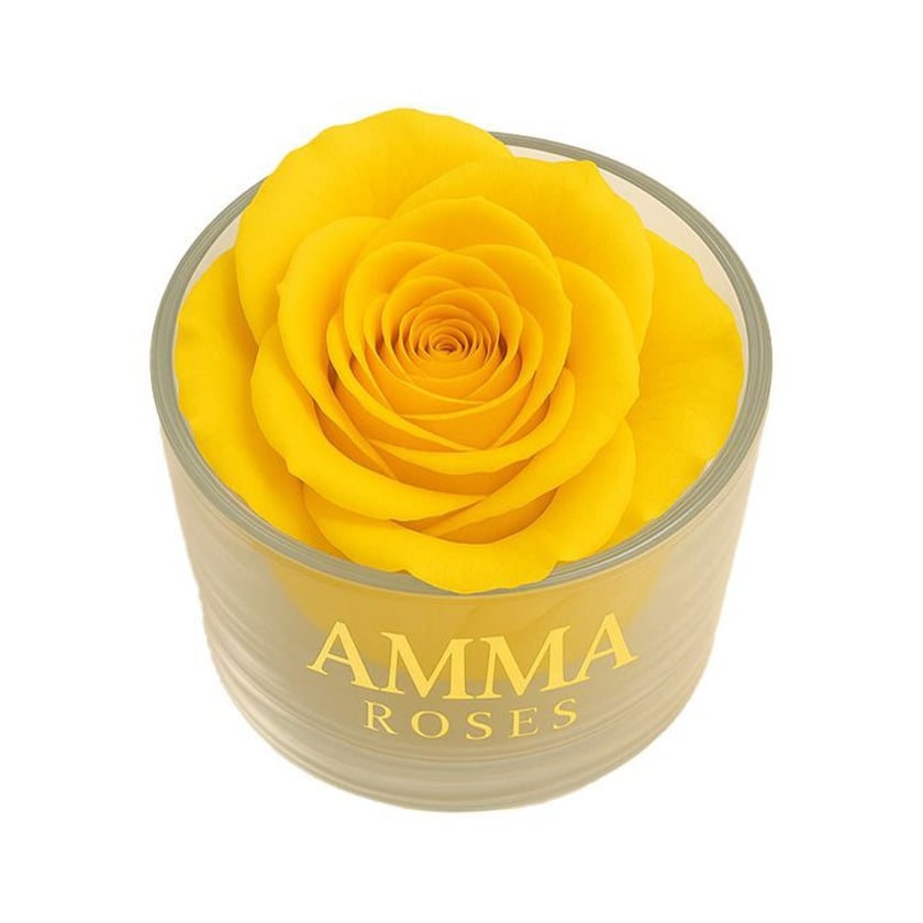 Amma Roses Crystal Garden Candy Yellow