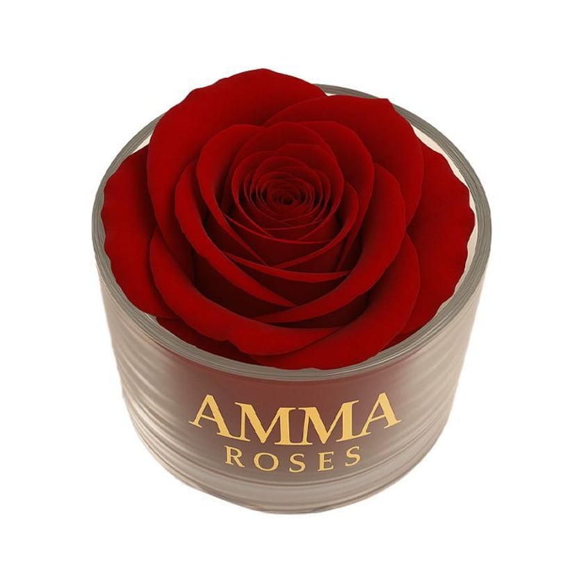 Amma Roses Crystal Garden Candy Red