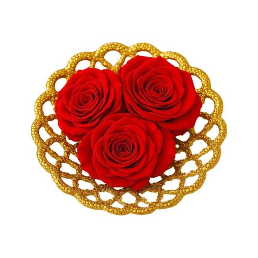 Amma Roses Royal Candy Red