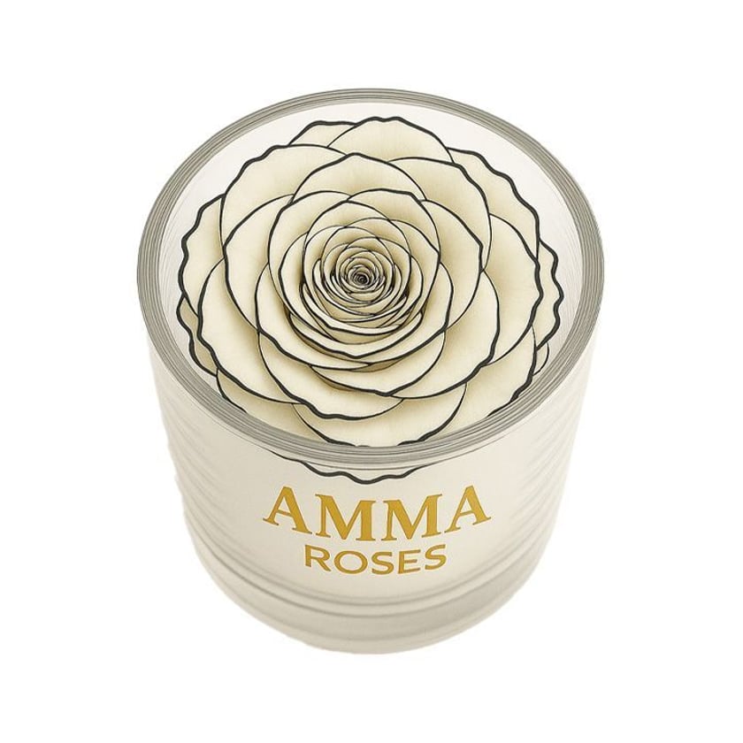 Amma Roses Crystal Garden Zebra Edition