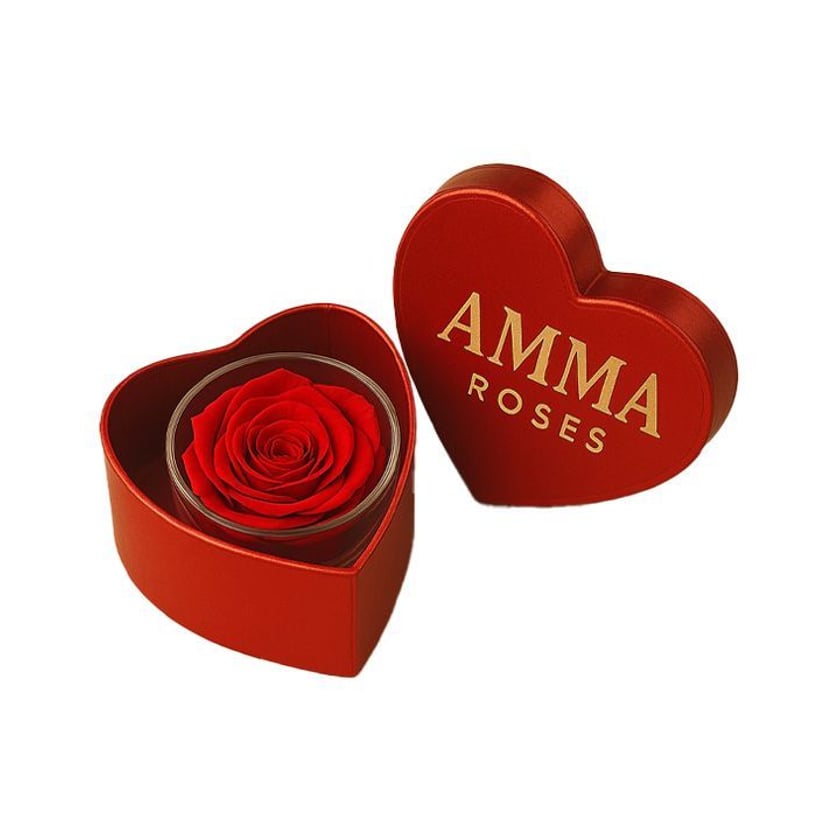 Amma Roses CG Baby Heart Red