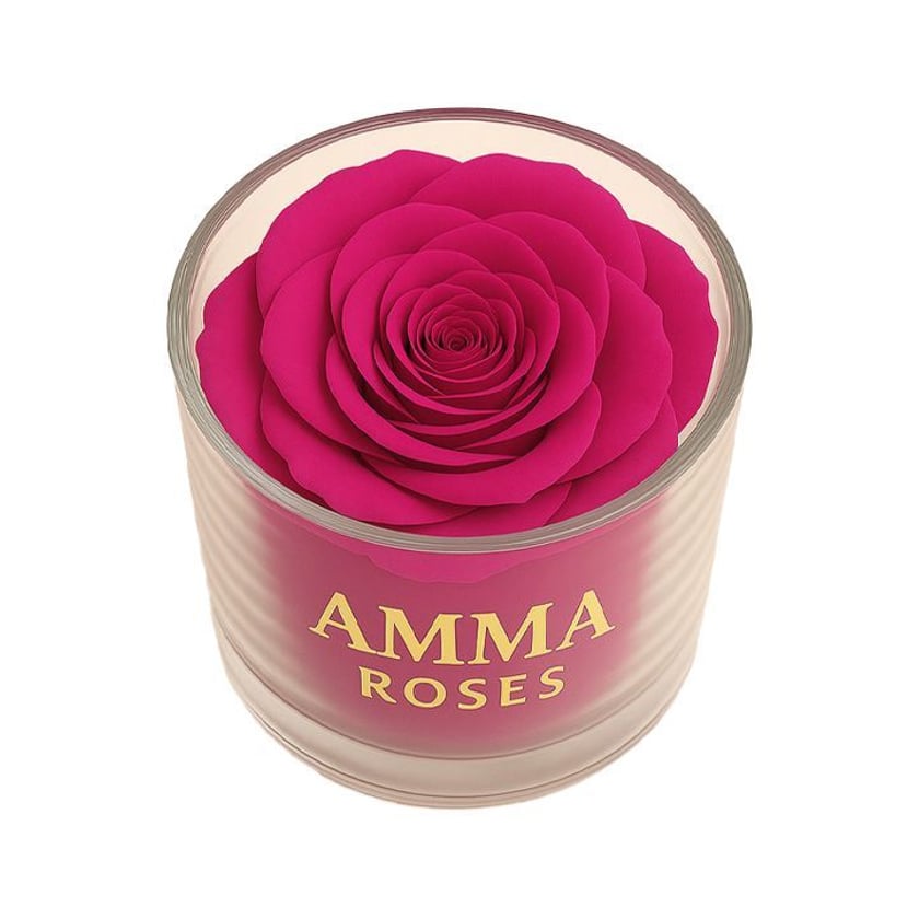Amma Roses Crystal Garden Candy Magenta
