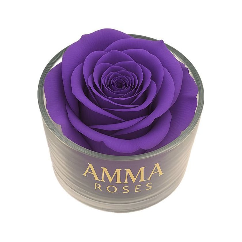 Amma Roses Crystal Garden Candy Magic Violet