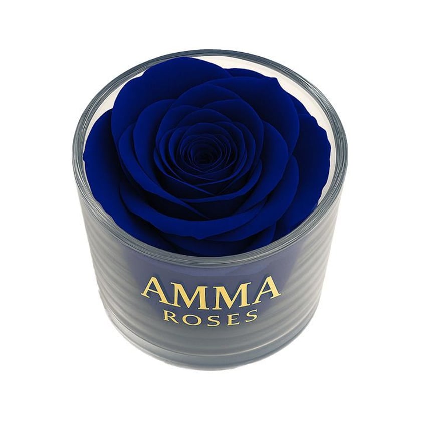 Amma Roses Crystal Garden Blue Velvet