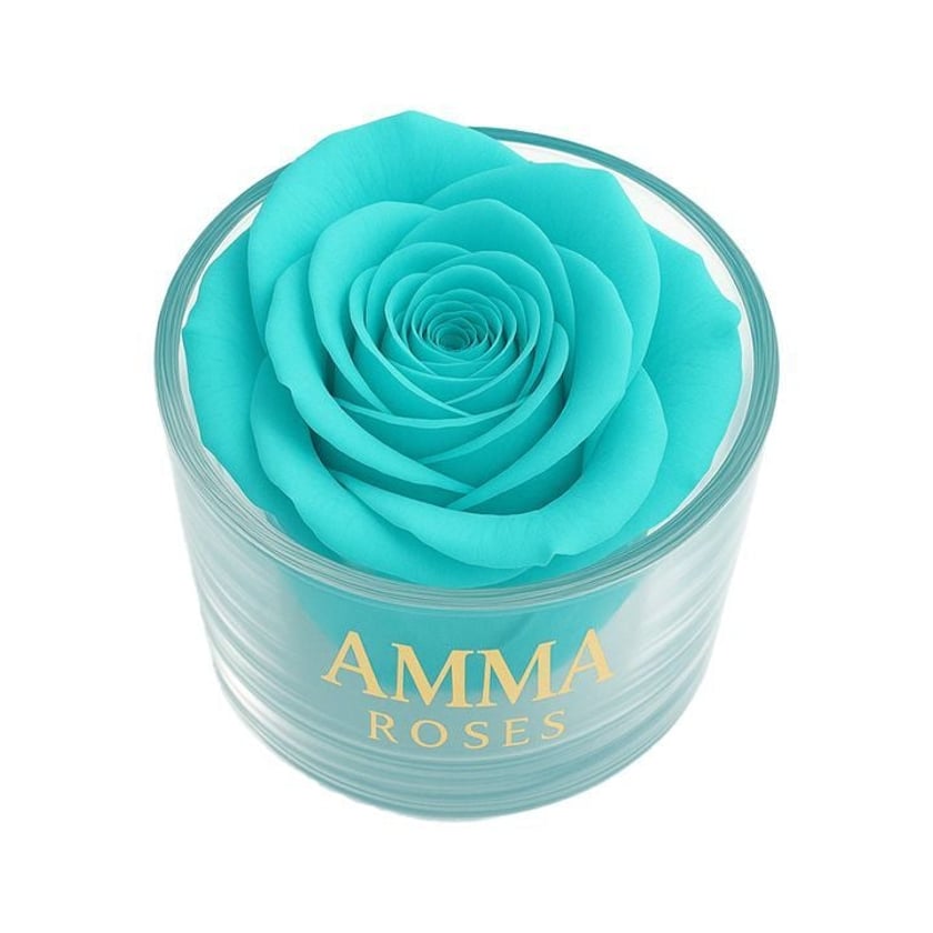 Amma Roses Crystal Garden Candy Tiffanys