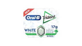 Trident Oral B Τσίχλες Δυόσμος 17g