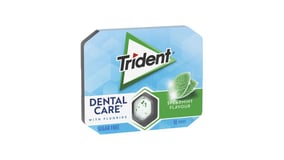 Trident Dental Care Τσίχλες Δυόσμος 17g