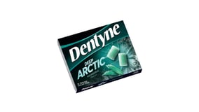 Dentyne Deep Arctic Τσίχλες Eucalyptus 16.8g