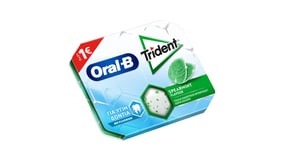 Trident Oral-B Τσίχλες Spearmint 17gr
