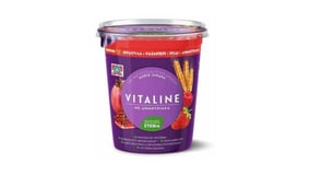Δέλτα Vitaline Επιδόρπιο Γιαουρτιού Superfruits 380g