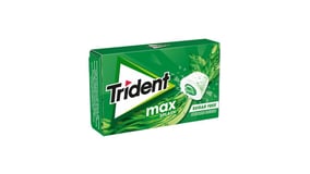 Trident Long Lasting Τσίχλες Δυόσμος 22g