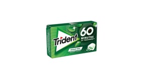 Trident Long Lasting Τσίχλες Δυόσμος 22g