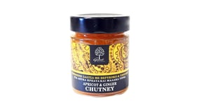 Γεωδή Σάλτσα Chutney με Βερύκοκο & Ginger χωρίς Γλουτένη 175g