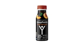Youphoria High Protein Ρόφημα Γιαουρτιού Ροδάκινο 250ml