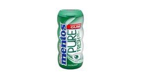 Mentos Τσίχλες Pure Fresh Wintergreen σε Μπουκάλι 28g