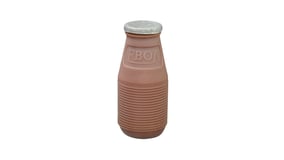 Εβόλ Σοκολατούχο Γάλα 230ml