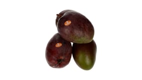 Mango Εισαγωγής