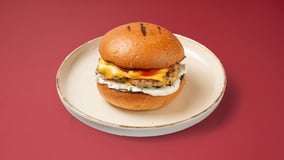 Double cheeseburger
