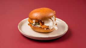The parmesan burger