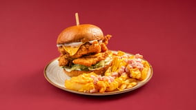Smoky double fried burger
