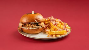 Crunchy smashed burger