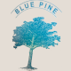 Blue Pine